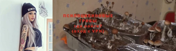 ПСИЛОЦИБИНОВЫЕ ГРИБЫ Алексеевка