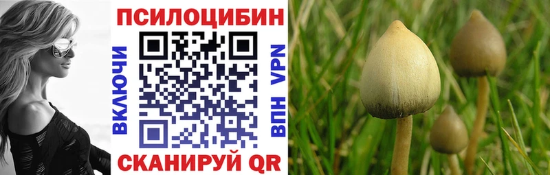 Псилоцибиновые грибы ЛСД  ссылка на мегу   Боровичи 