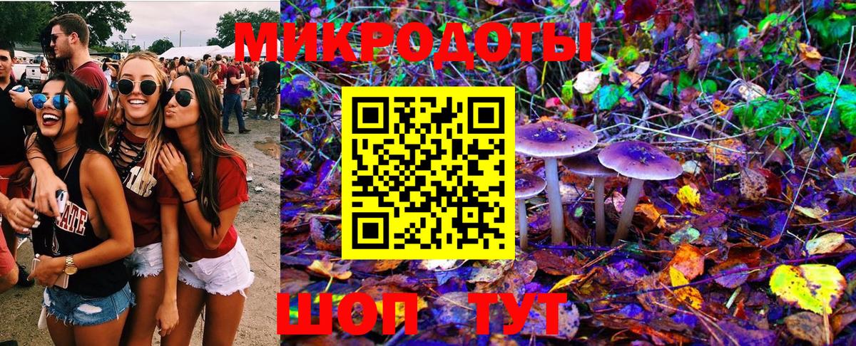 Псилоцибиновые грибы мухоморы  Вход с VPN  Псилоцибиновые грибы MAGIC MUSHROOMS  Боровичи 