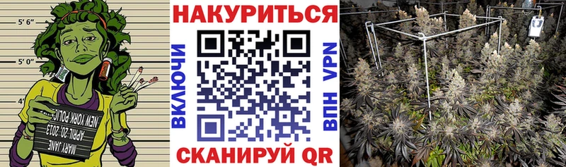 где купить   Боровичи  Конопля OG Kush 